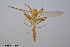  ( - CMM-CH99)  @11 [ ] Creative Commons  Attribution Non-Commercial Share-Alike (2023) NTNU University Museum, Department of Natural History NTNU University Museum, Department of Natural History
