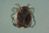 ( - HYDCA647)  @11 [ ] Creative Commons  Attribution Non-Commercial Share-Alike (2022) NTNU University Museum, Department of Natural History NTNU University Museum, Department of Natural History