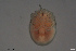  ( - HYDCA712)  @11 [ ] Creative Commons  Attribution Non-Commercial Share-Alike (2023) NTNU University Museum, Department of Natural History NTNU University Museum, Department of Natural History