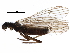  ( - BIOUG16343-D07)  @14 [ ] CreativeCommons - Attribution (2016) CBG Photography Group Centre for Biodiversity Genomics