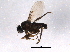 ( - BIOUG03159-F07)  @13 [ ] CreativeCommons - Attribution (2014) CBG Photography Group Centre for Biodiversity Genomics