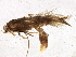 ( - BIOUG03118-B05)  @13 [ ] CreativeCommons - Attribution (2013) CBG Photography Group Centre for Biodiversity Genomics