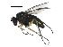  ( - BIOUG19029-C02)  @14 [ ] CreativeCommons - Attribution (2015) CBG Photography Group Centre for Biodiversity Genomics
