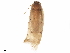  ( - BIOUG20171-C10)  @11 [ ] CreativeCommons - Attribution (2019) CBG Photography Group Centre for Biodiversity Genomics