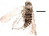  ( - BIOUG20417-E11)  @14 [ ] CreativeCommons - Attribution (2015) CBG Photography Group Centre for Biodiversity Genomics