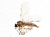  ( - BIOUG04290-D09)  @13 [ ] CreativeCommons - Attribution (2014) CBG Photography Group Centre for Biodiversity Genomics