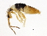  ( - BIOUG04291-F09)  @15 [ ] CreativeCommons - Attribution (2013) CBG Photography Group Centre for Biodiversity Genomics
