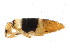  ( - BIOUG04310-F10)  @15 [ ] CreativeCommons - Attribution (2013) CBG Photography Group Centre for Biodiversity Genomics