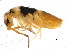  ( - BIOUG04310-H07)  @15 [ ] CreativeCommons - Attribution (2013) CBG Photography Group Centre for Biodiversity Genomics
