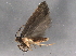  ( - BIOUG04108-B06)  @12 [ ] CreativeCommons - Attribution (2013) CBG Photography Group Centre for Biodiversity Genomics