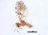  ( - BIOUG04461-A03)  @13 [ ] CreativeCommons - Attribution (2014) CBG Photography Group Centre for Biodiversity Genomics