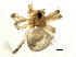  ( - BIOUG04474-D02)  @12 [ ] CreativeCommons - Attribution (2014) CBG Photography Group Centre for Biodiversity Genomics