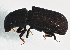  ( - BIOUG05829-D07)  @13 [ ] CreativeCommons - Attribution (2014) CBG Photography Group Centre for Biodiversity Genomics