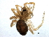  ( - BIOUG06077-G03)  @13 [ ] CreativeCommons - Attribution (2014) CBG Photography Group Centre for Biodiversity Genomics