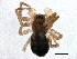  ( - BIOUG06077-G05)  @14 [ ] CreativeCommons - Attribution (2014) CBG Photography Group Centre for Biodiversity Genomics