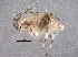  ( - BIOUG09895-G12)  @13 [ ] CreativeCommons - Attribution (2014) CBG Photography Group Centre for Biodiversity Genomics