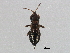  ( - BIOUG09939-H08)  @13 [ ] CreativeCommons - Attribution (2014) CBG Photography Group Centre for Biodiversity Genomics