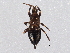  ( - BIOUG09939-H09)  @13 [ ] CreativeCommons - Attribution (2014) CBG Photography Group Centre for Biodiversity Genomics