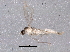  ( - BIOUG09996-G09)  @12 [ ] CreativeCommons - Attribution (2014) CBG Photography Group Centre for Biodiversity Genomics