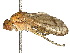  ( - BIOUG09994-E08)  @11 [ ] CreativeCommons - Attribution (2024) CBG Photography Group Centre for Biodiversity Genomics