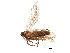  ( - BIOUG11100-H10)  @12 [ ] CreativeCommons - Attribution (2016) CBG Photography Group Centre for Biodiversity Genomics