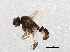  ( - BIOUG11149-F11)  @12 [ ] CreativeCommons - Attribution (2014) CBG Photography Group Centre for Biodiversity Genomics