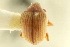  ( - CNC COLEO 00116846)  @11 [ ] CreativeCommons - Attribution (2011) CNC/CBG Photography Group Centre for Biodiversity Genomics