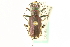  ( - CNC COLEO 00117338)  @12 [ ] CreativeCommons - Attribution (2011) CNC/CBG Photography Group Centre for Biodiversity Genomics