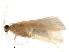  ( - CNCAD_0084)  @11 [ ] CreativeCommons - Attribution (2018) CBG Photography Group Centre for Biodiversity Genomics