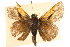  ( - BIOUG10888-B04)  @13 [ ] CreativeCommons - Attribution (2014) CBG Photography Group Centre for Biodiversity Genomics