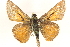  ( - BIOUG10890-C04)  @13 [ ] CreativeCommons - Attribution (2014) CBG Photography Group Centre for Biodiversity Genomics
