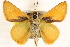  ( - BIOUG10890-F07)  @14 [ ] CreativeCommons - Attribution (2014) CBG Photography Group Centre for Biodiversity Genomics