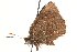  ( - BIOUG10893-B02)  @12 [ ] CreativeCommons - Attribution (2015) CBG Photography Group Centre for Biodiversity Genomics