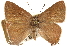  ( - BIOUG10893-E03)  @14 [ ] CreativeCommons - Attribution (2015) CBG Photography Group Centre for Biodiversity Genomics