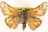  ( - BIOUG10946-F03)  @15 [ ] CreativeCommons - Attribution (2014) CBG Photography Group Centre for Biodiversity Genomics