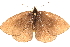  ( - BIOUG10950-B04)  @13 [ ] CreativeCommons - Attribution (2015) CBG Photography Group Centre for Biodiversity Genomics
