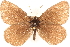  ( - BIOUG10950-C04)  @13 [ ] CreativeCommons - Attribution (2015) CBG Photography Group Centre for Biodiversity Genomics