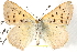  ( - BIOUG15631-A06)  @13 [ ] CreativeCommons - Attribution (2014) CBG Photography Group Centre for Biodiversity Genomics