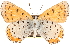  ( - CCDB-24272-F07)  @13 [ ] CreativeCommons - Attribution (2014) CBG Photography Group Centre for Biodiversity Genomics
