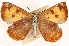  ( - CCDB-24279-A09)  @13 [ ] CreativeCommons - Attribution (2015) CBG Photography Group Centre for Biodiversity Genomics