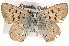  ( - CCDB-24279-B02)  @13 [ ] CreativeCommons - Attribution (2015) CBG Photography Group Centre for Biodiversity Genomics