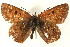  ( - CCDB-24279-B02)  @13 [ ] CreativeCommons - Attribution (2015) CBG Photography Group Centre for Biodiversity Genomics