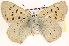  ( - CCDB-24279-B04)  @13 [ ] CreativeCommons - Attribution (2015) CBG Photography Group Centre for Biodiversity Genomics