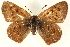  ( - CCDB-24279-B04)  @13 [ ] CreativeCommons - Attribution (2015) CBG Photography Group Centre for Biodiversity Genomics
