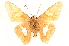  ( - CCDB-24279-B09)  @12 [ ] CreativeCommons - Attribution (2015) CBG Photography Group Centre for Biodiversity Genomics