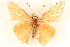  ( - CCDB-24279-B09)  @13 [ ] CreativeCommons - Attribution (2015) CBG Photography Group Centre for Biodiversity Genomics
