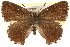  ( - CCDB-24279-D10)  @14 [ ] CreativeCommons - Attribution (2015) CBG Photography Group Centre for Biodiversity Genomics