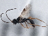  ( - BIOUG08726-A10)  @13 [ ] CreativeCommons - Attribution (2013) CBG Photography Group Centre for Biodiversity Genomics