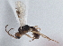  ( - BIOUG08726-B03)  @11 [ ] CreativeCommons - Attribution (2013) CBG Photography Group Centre for Biodiversity Genomics