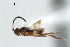  ( - CBRA0159)  @12 [ ] CreativeCommons - Attribution (2009) Unspecified Centre for Biodiversity Genomics